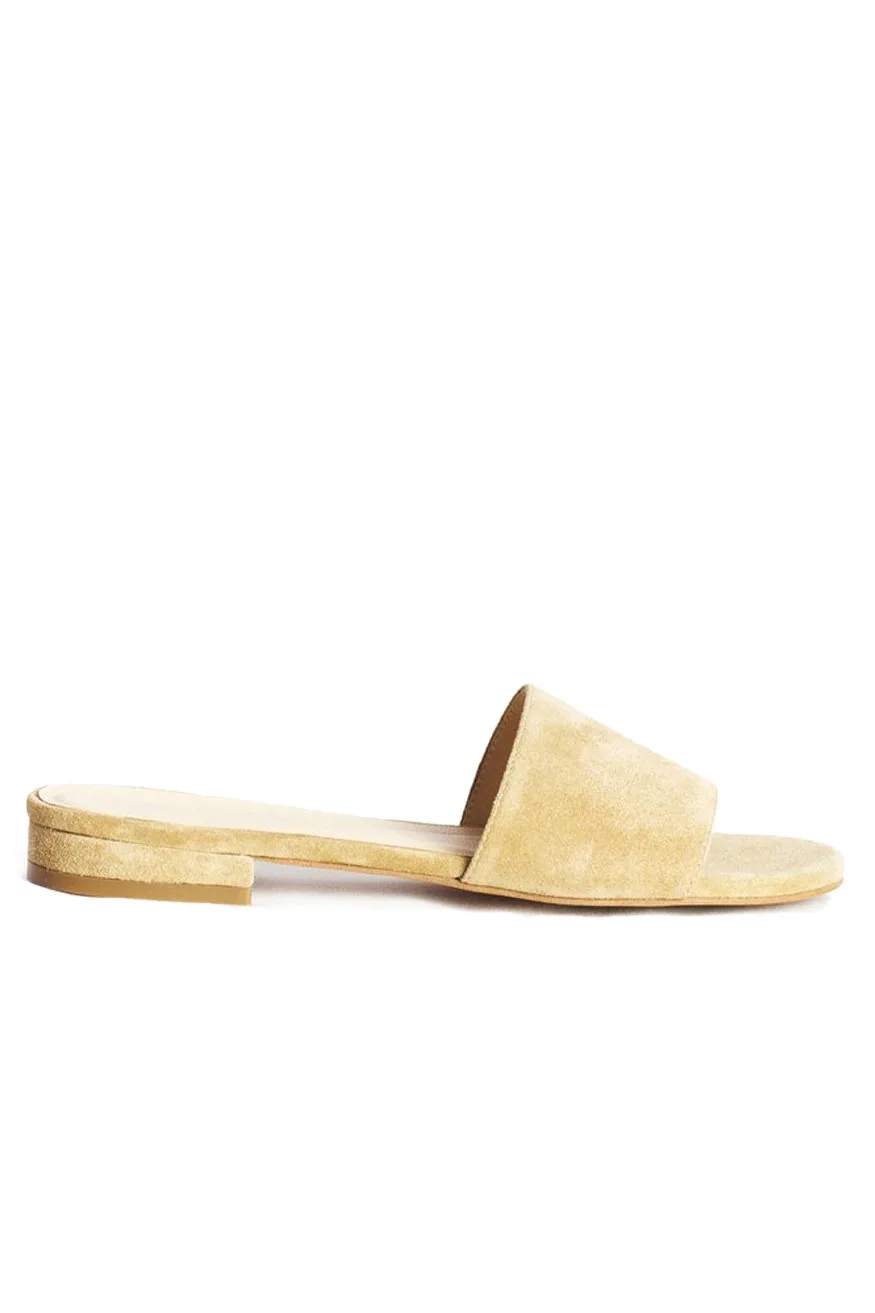 Marais Slide, Camel